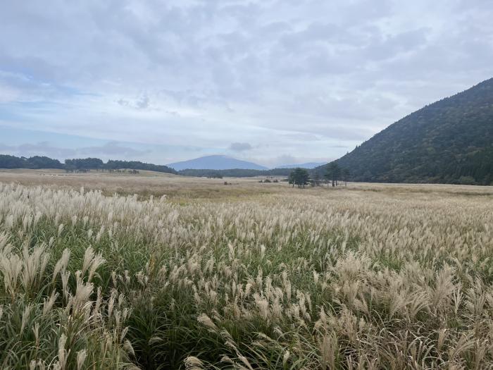 静けさに染るタデ原湿原のイメージ画像
