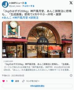 あんこ誤発注！助けて！→生成画像だとバレる→高品質で上品なあんこは賞味期限が短いんですけど!?のイメージ画像