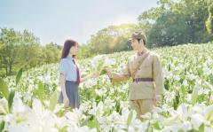 福原遥＆水上恒司W主演「あの花が咲く丘で、君とまた出会えたら。」地上波初放送決定 8月8日“金ロー”枠