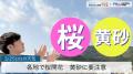 各地で桜開花黄砂に要注意
