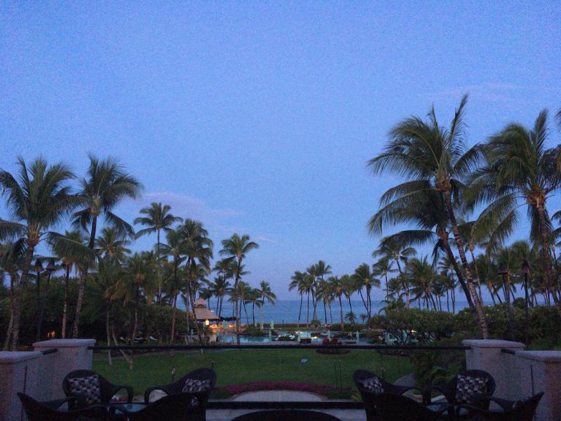 ヤシの木とハワイ島の海のイメージ画像