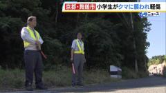 「クマにひっかかれた」自転車に乗っていた小学生…道に飛び出してきたクマに襲われ軽傷 近隣住民「子どもが被害に遭うとは」 京都・舞鶴市のイメージ画像