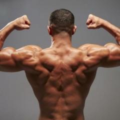 見直そう僧帽筋のトレーニング 実はバリエーション豊富 ニュース総合掲示板 ローカルクチコミ爆サイ Com九州版