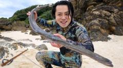 巨大ヤガラを素潜りでゲット！解体した結果がやばすぎた