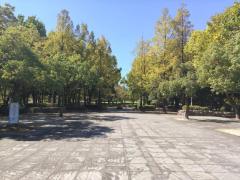春日公園 野外音楽堂前広場のイメージ画像