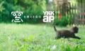 YKK AP防火ｻｯｼ｢防炎基準満たさず｣..