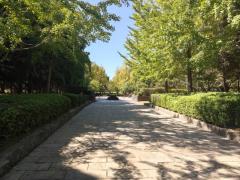 木漏れ日が心地よい春日公園のイメージ画像