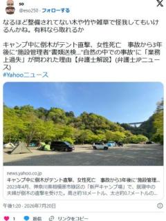 【相模原】キャンプ中に倒木がテント直撃、女性死亡 3年後に施設管理者書類送検…自然の中での事故に「業務上過失」が問われた理由のイメージ画像