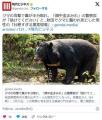 クマの攻撃で鼻が半分取れ「顔中血まみれ」の警察官が「助けてください」と…秋田でクマに襲われ死亡した男性の「壮絶すぎる捜索現場」