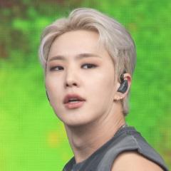 SEVENTEENにコロナ禍で出会って。「私、こんなに優しくされていいんだっけ？」ファンの心を掴んだ一節