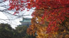 名古屋城の紅葉のイメージ画像