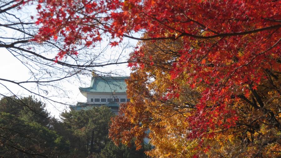 名古屋城の紅葉のイメージ画像