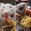 米 ネズミがスパゲティを食べる動画が再ブレイク(30)