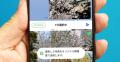 LINEで送った写真、なんか画質悪くない..