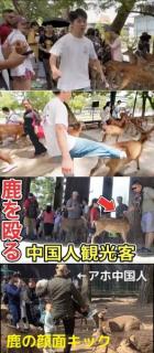 「青汁王子」三崎優太さん、奈良公園で鹿を蹴る外国人の動画拡散に「こんな奴らは一発で強制送還してくれ」と憤慨のイメージ画像