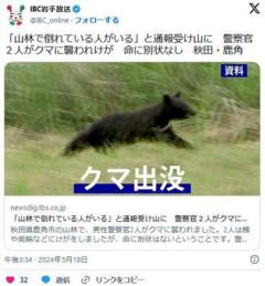 タケノコ採りで行方不明となった青森県の男性を捜索中に警察官2人がクマに襲われけが秋田・鹿角のイメージ画像