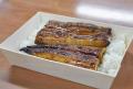世界初、「卵から」完全養殖のウナギを月内にも試験販売へ…年間数万匹の稚魚の生産が可能・コストは天然の３～４倍