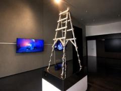 美術館の展示作品に疑問の声「普通のはしごでは？」―中国のイメージ画像