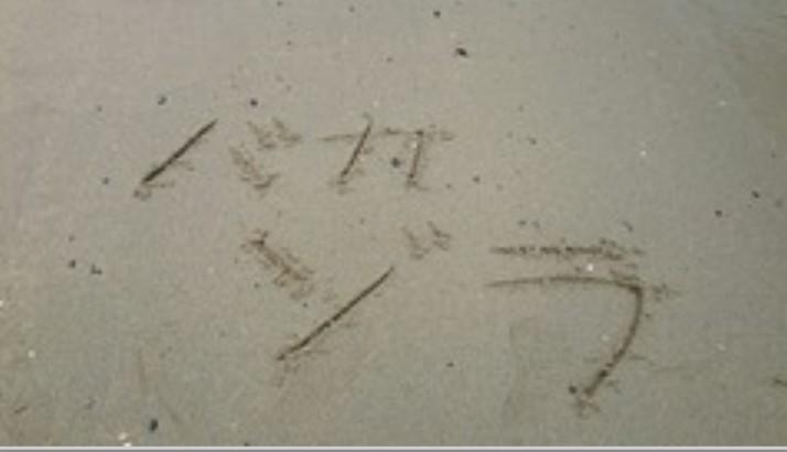 砂に書いた バカゾラ
