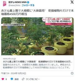 【北九州】ホテル最上階で大規模に“大麻栽培”乾燥植物片だけで末端価格4500万円相当ホテルの実質的経営者ら２人逮捕のイメージ画像