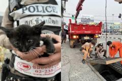 タイ警察、排水口に落ちた子猫を救出
