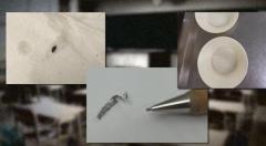 【独自】学校給食で金属片・虫…“異物混入”などトラブル相次ぎ、調理業者と“契約解除” 大阪市教委のイメージ画像