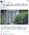 【群馬】クマが窓から住宅内に侵入し..