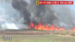 「枯れ草を焼いていた火が大きくなった」高知県四万十市で田畑などが焼ける火事 現在も消火活動中 中村宿毛道路（間IC〜平田IC）が通行止めのイメージ画像