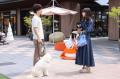 【初恋DOGs 第1話】愛子（清原果耶）＆快（成田凌）、愛犬同士が恋に落ちる