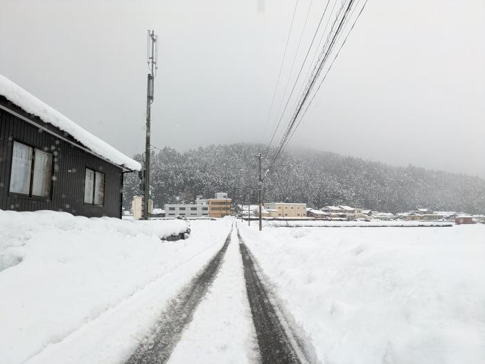 深々と降る雪のイメージ画像