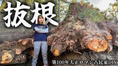 推定3トンの巨大抜根に死闘1か月、こつぶが挑む古民家DIYのイメージ画像
