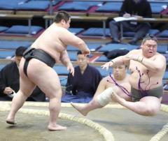 現役高校生“規格外力士”、たった4度の接触で相手を吹っ飛ばす圧巻取組に「格が違う…」どよめきのイメージ画像