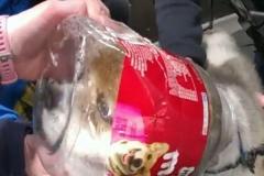 おやつの容器が頭から抜けなくなったワンコ、警察官が救出【動画】アメリカ