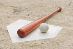 《高校野球で発生する悪質ヤジ問題》酒を飲んで「かませー」「殺せ」と声を上げる客 審判がSNSで写真さらされ誹謗中傷を受ける被害も