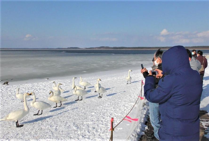 【コラム】今、北海道で「静かに」起こっていることー中国の侵略(6)