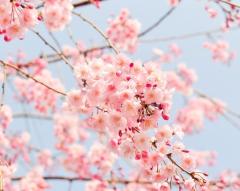 4月のイベント等