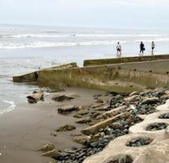 「茨城のゴールドコースト」、砂浜消失で今夏の海水浴場を中止…岩が突き出し「安全な状況ではない」のイメージ画像