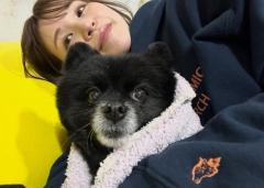 はんにゃ.川島の元妻 離れ離れの愛犬との定期面会に感謝