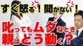 子育てアドバイザーが助言！ADHDの子の逆ギレとうまく付き合うには・・・