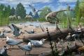 北極圏で7300万年前の鳥類の化石を発見..