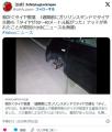 ガソリンスタンドで車のタイヤを交換..