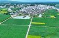 福建省の1000年以上の歴史を誇る村に新たな活力―中国