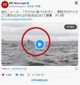 【国際】「クジラに食べられた」、男..