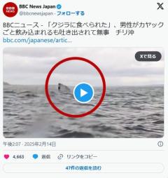 【国際】「クジラに食べられた」、男性がカヤックごと飲み込まれるも吐き出されて無事チリ沖