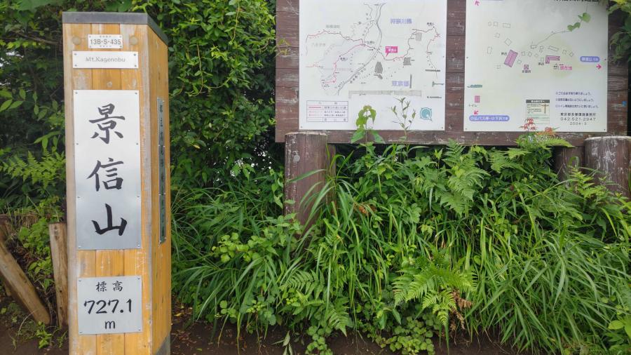 高尾山から景信山へのイメージ画像