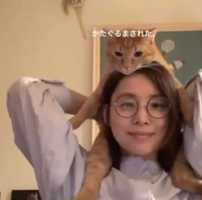 石田ゆり子、猫とのイチャイチャ動画に大反響「可愛すぎる」