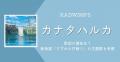 RADWIMPS「カナタハルカ」歌詞の意味は..