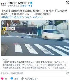 【悲報】車に犬だけ乗せて発進→リードを持った母親が引き摺られるのイメージ画像