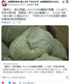 【野菜】「通常の３倍に…」キャベツ価格が高騰消費者や飲食店から悲鳴も