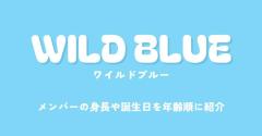 WILD BLUE(ワイルドブルー)のメンバーは？身長や誕生日を年齢順に紹介